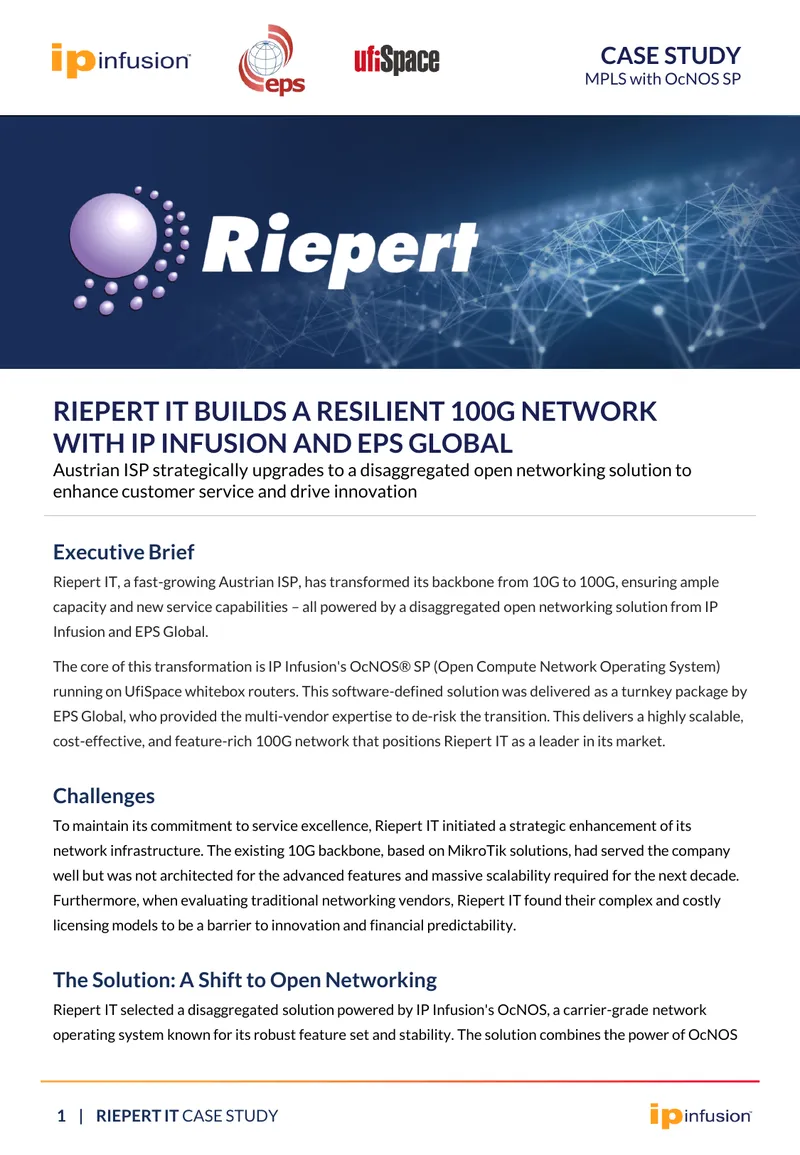 Riepert IT Network Transformation Case Study