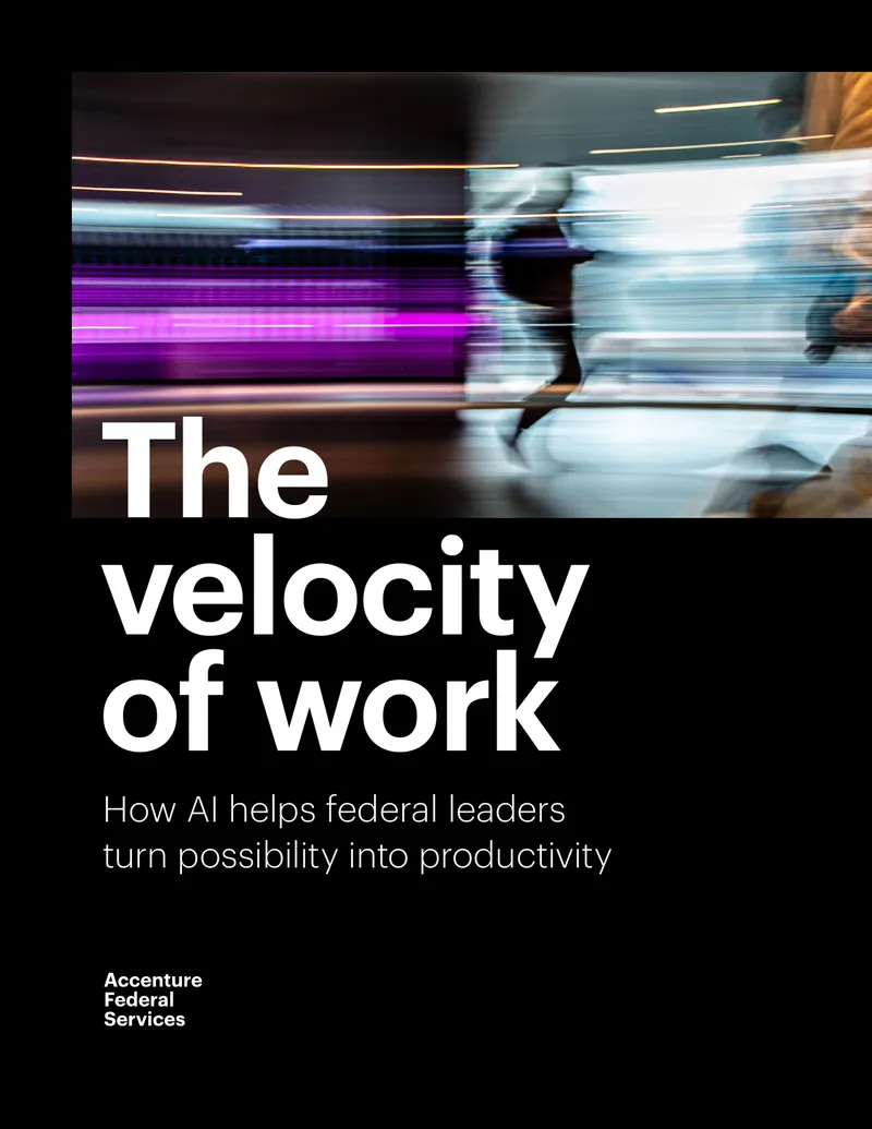 AI Adoption Strategies for Federal Agencies