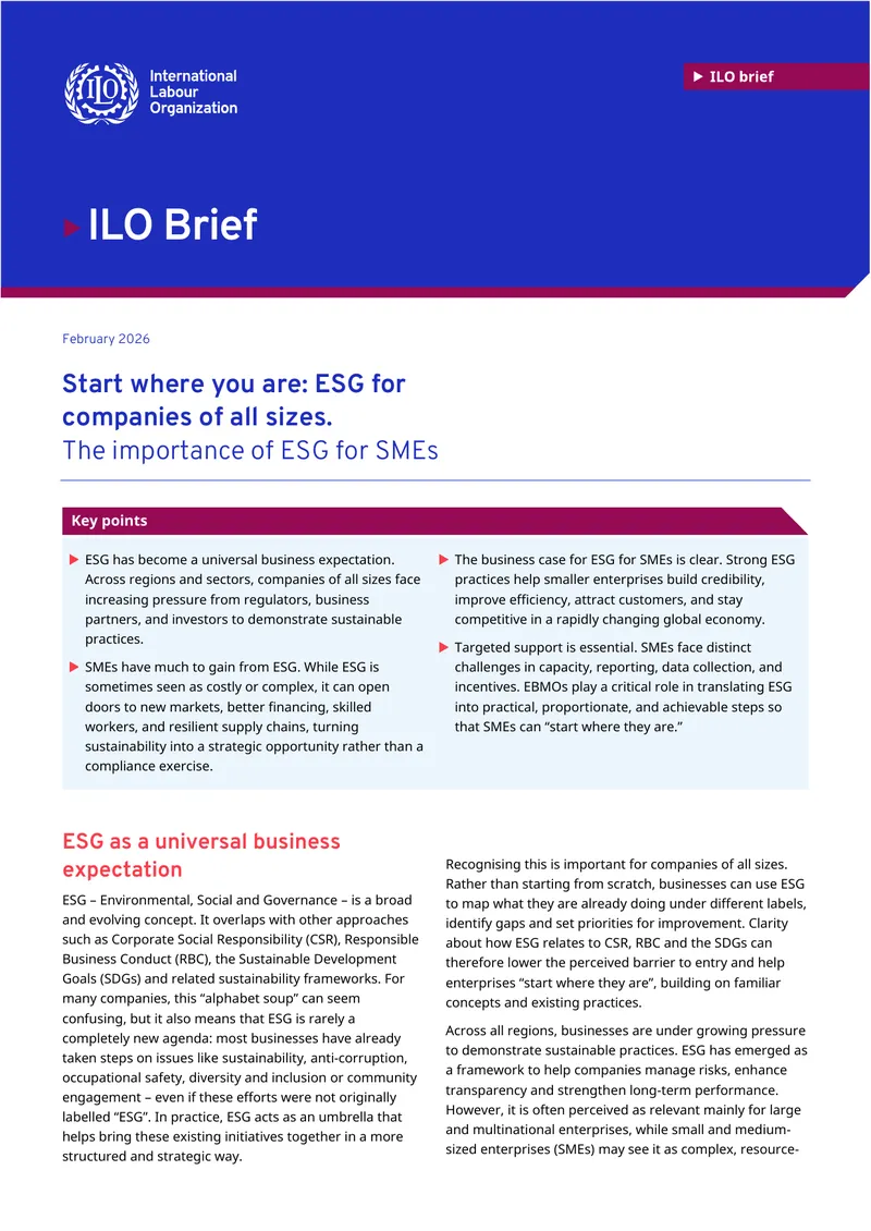 ESG Integration for Small and Medium-Sized Enterprises