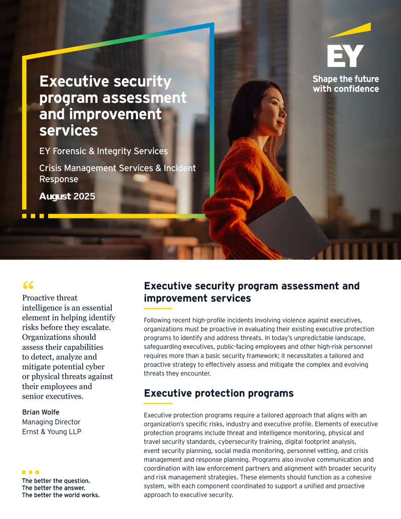 Executive Security Program Assessment and Improvement Services