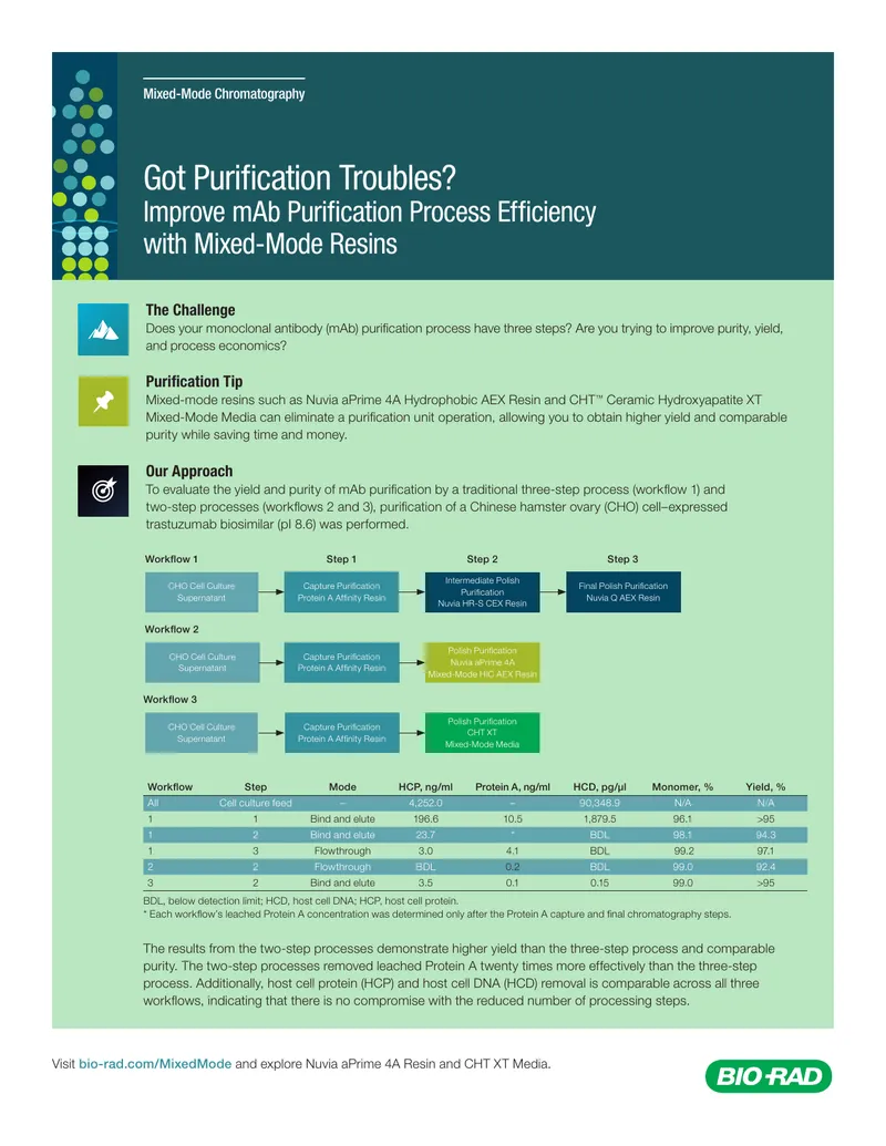 Improving mAb Purification Process Efficiency