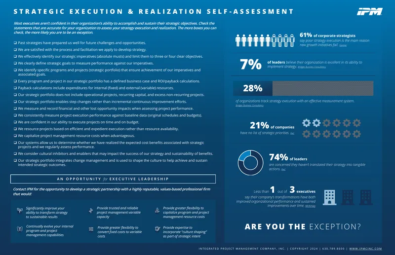 Strategic Execution and Realization Self-Assessment for Executives