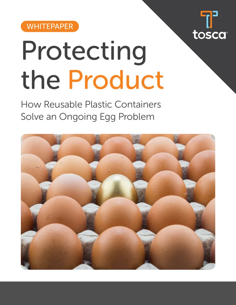 Reusable Plastic Containers for Egg Transportation