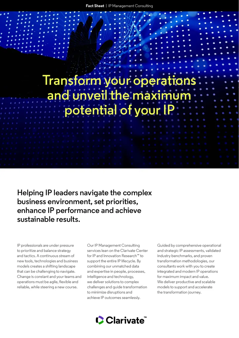 IP Management Consulting Services Overview