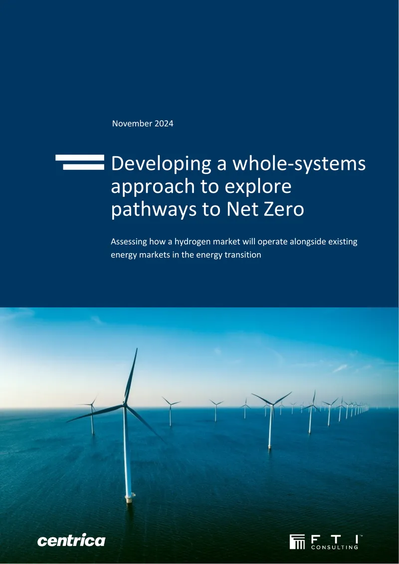 Developing a Whole-Systems Approach to Net Zero