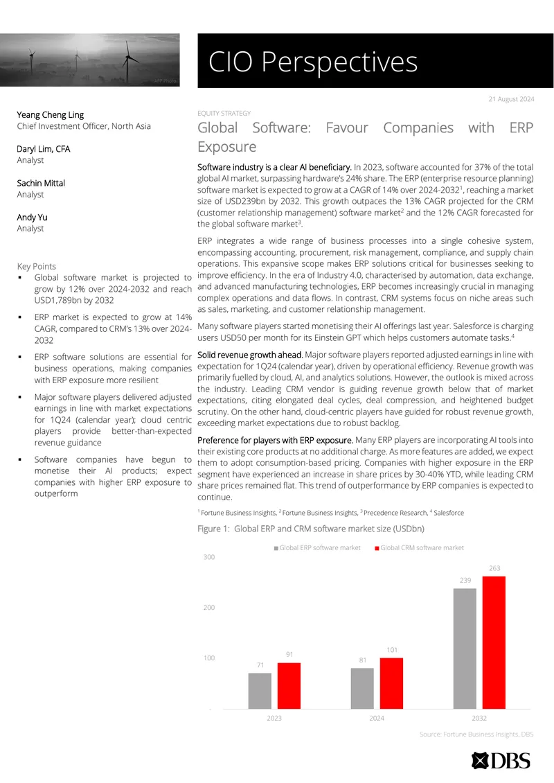 Global Software Market Growth and ERP Insights
