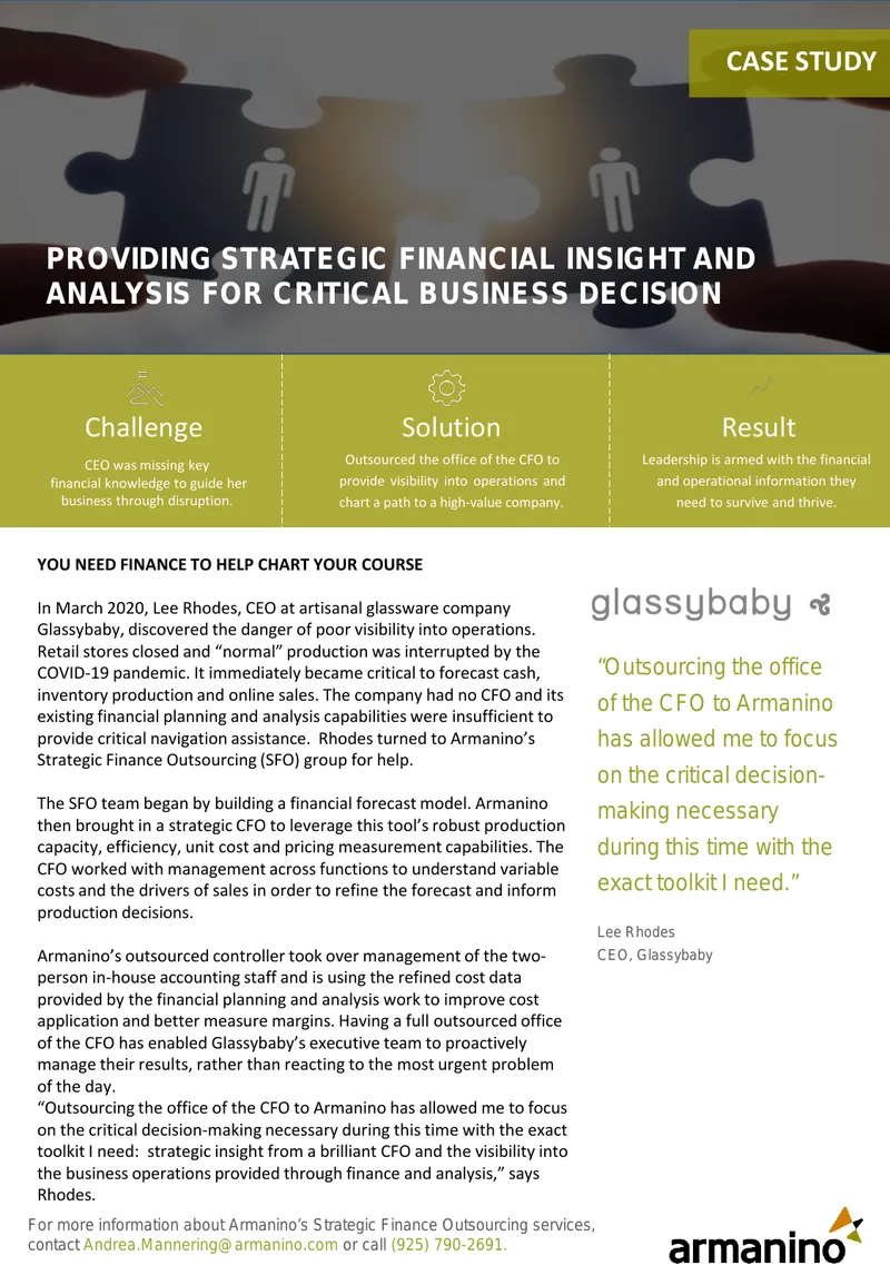 Strategic Finance Outsourcing Case Study