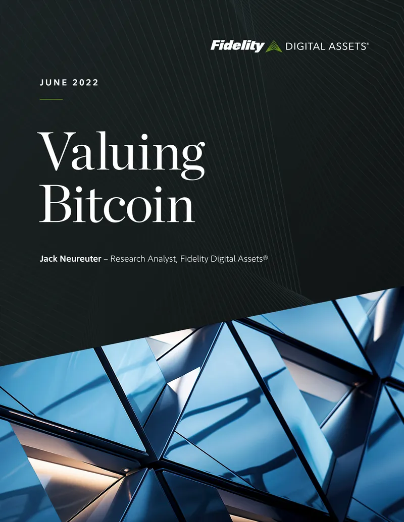 Bitcoin Valuation Framework and Methods