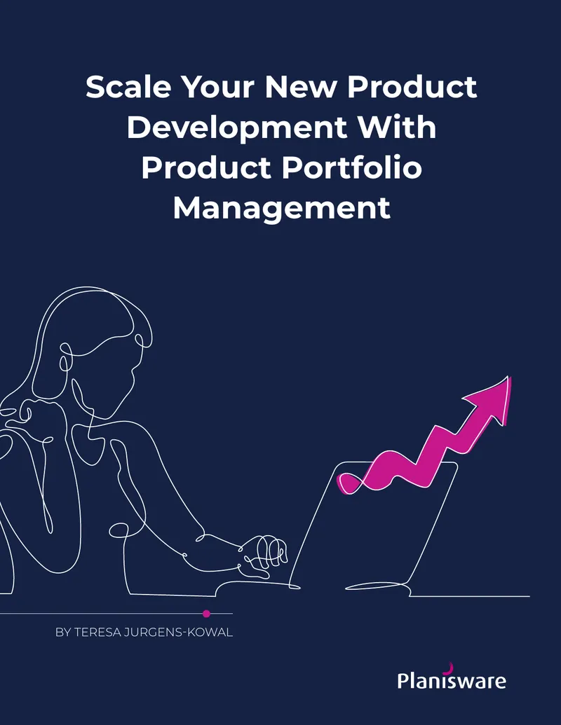Product Portfolio Management for New Product Development