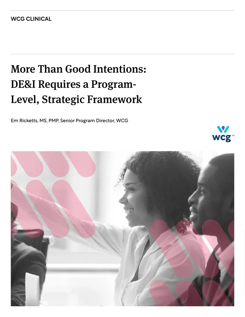 DE&I Program-Level Strategic Framework Guide