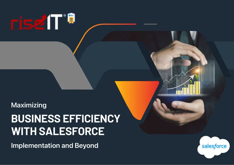 Salesforce Implementation and Customization Guide