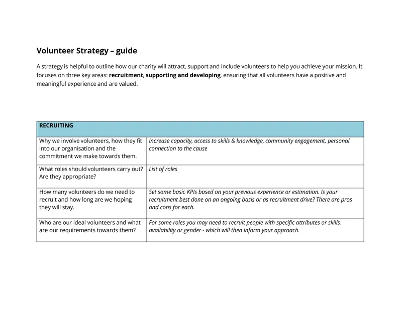 Volunteer Strategy Development Guide
