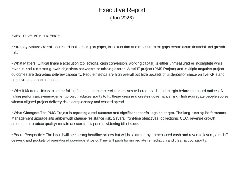Executive Report on Performance and Risks
