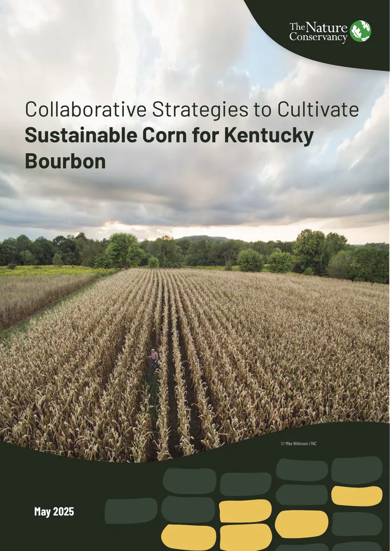 Collaborative Strategies for Decarbonizing Corn Production preview page 1
