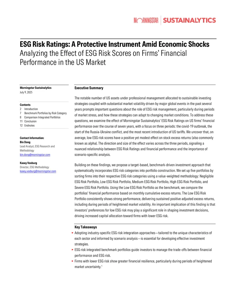 ESG Risk Ratings and Financial Performance Analysis