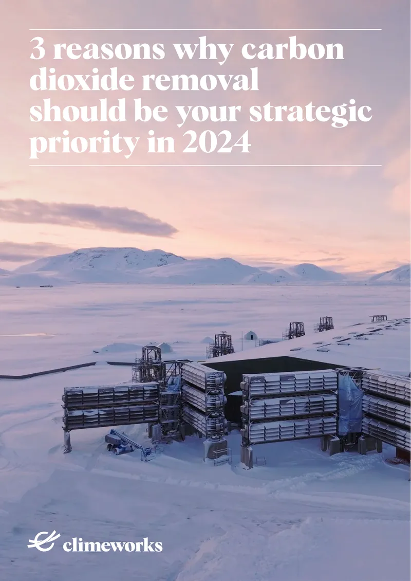 Strategic Importance of Carbon Dioxide Removal in 2024