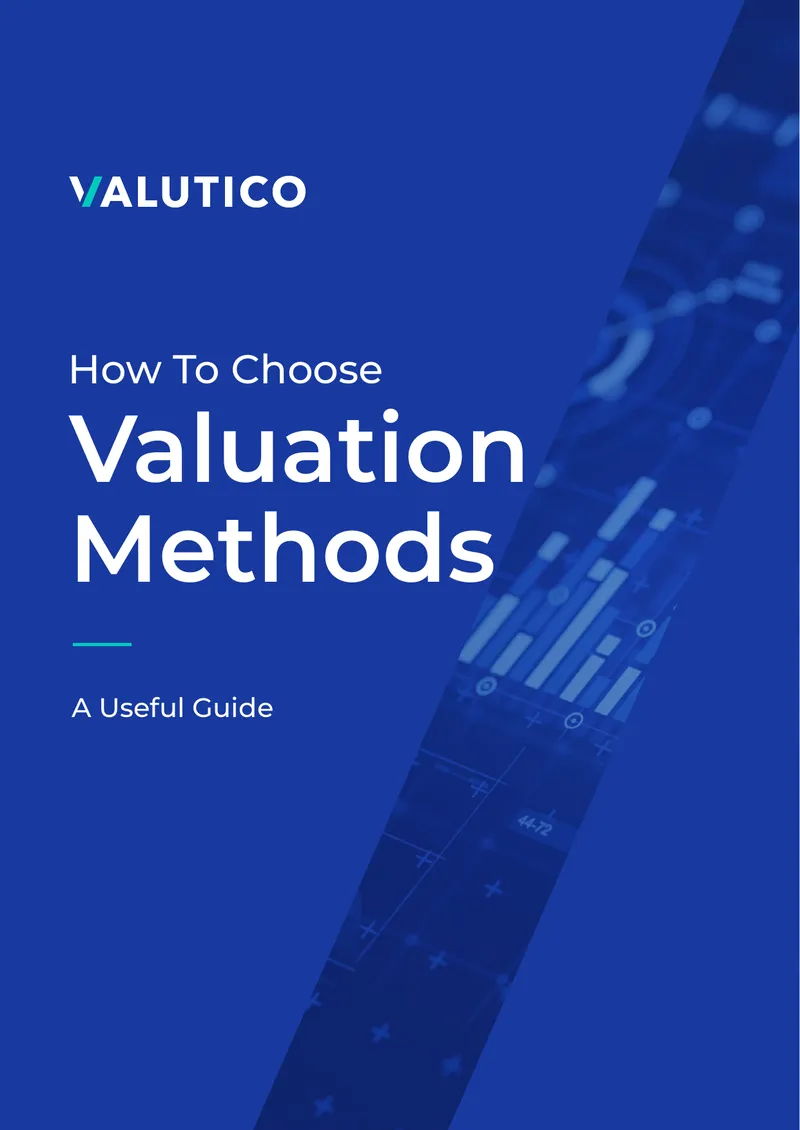 Valuation Methods Guide for Business Professionals