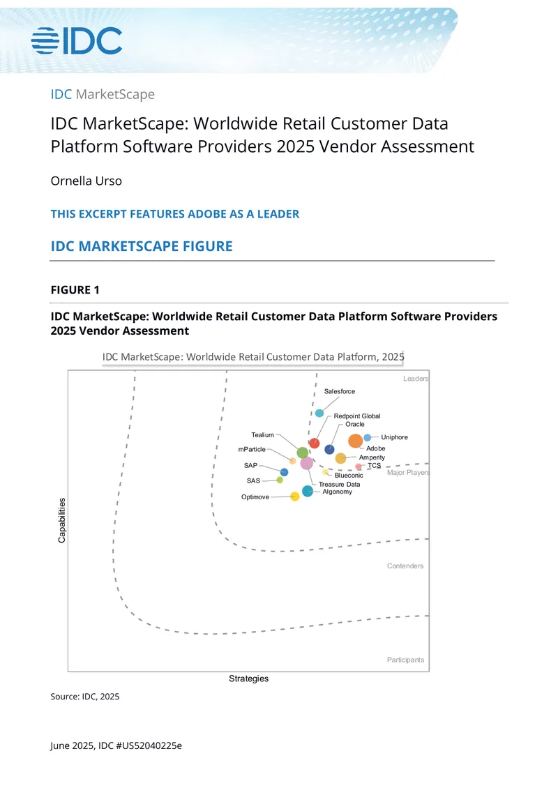 Worldwide Retail Customer Data Platform Software Providers Assessment