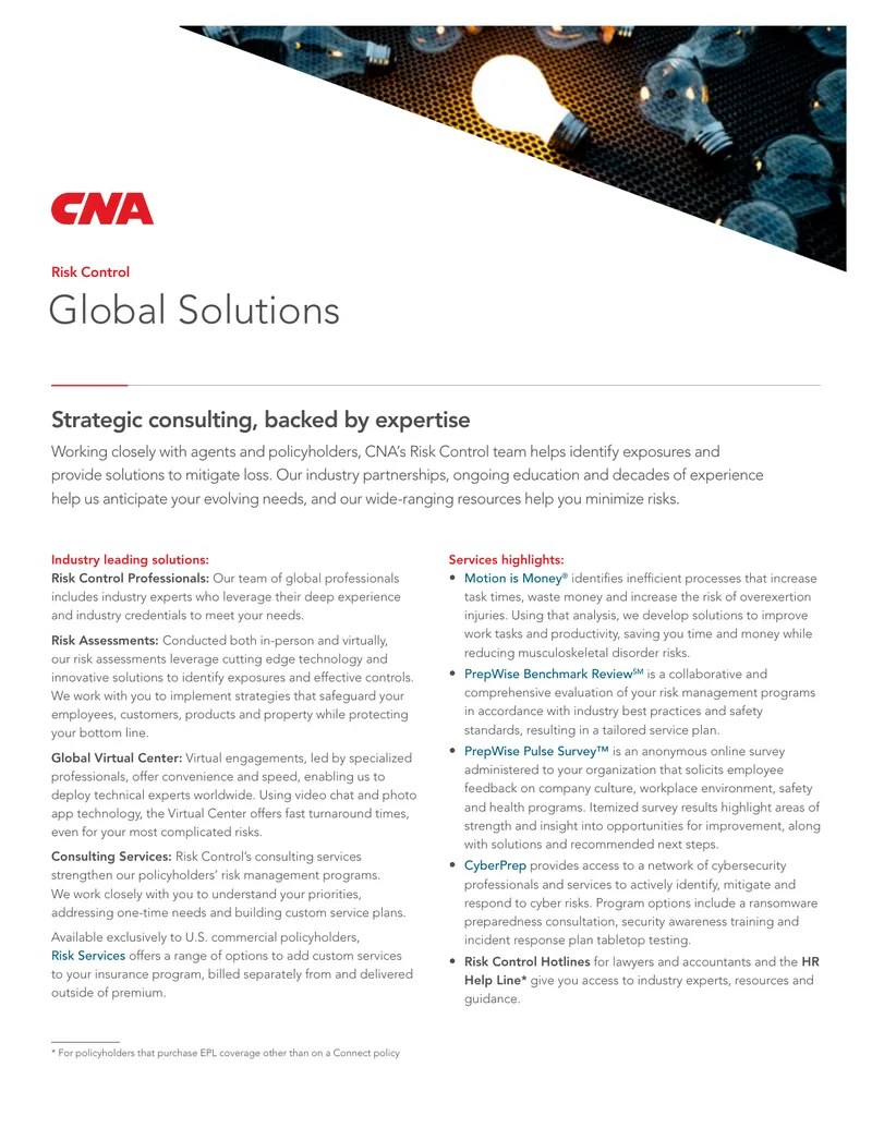 Risk Control Consulting Services Overview