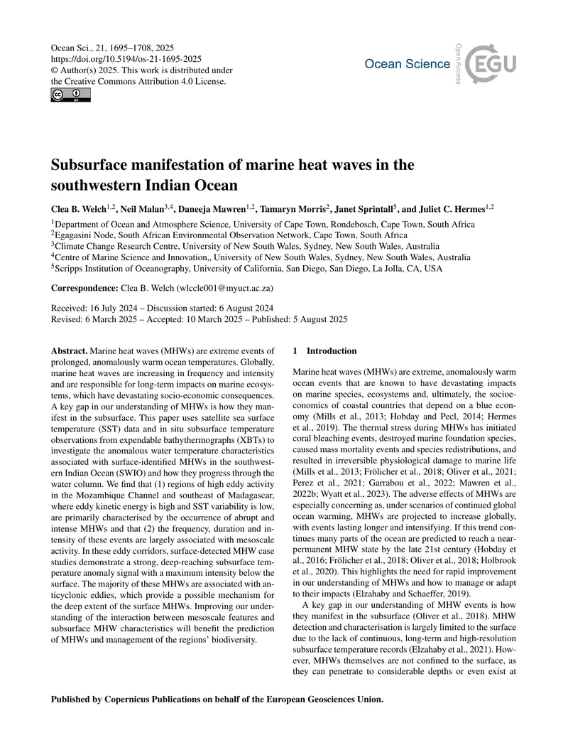 Subsurface Characteristics of Marine Heat Waves