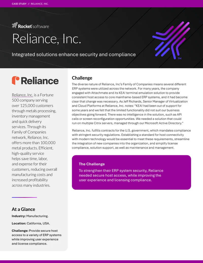 Reliance, Inc. ERP System Security Case Study