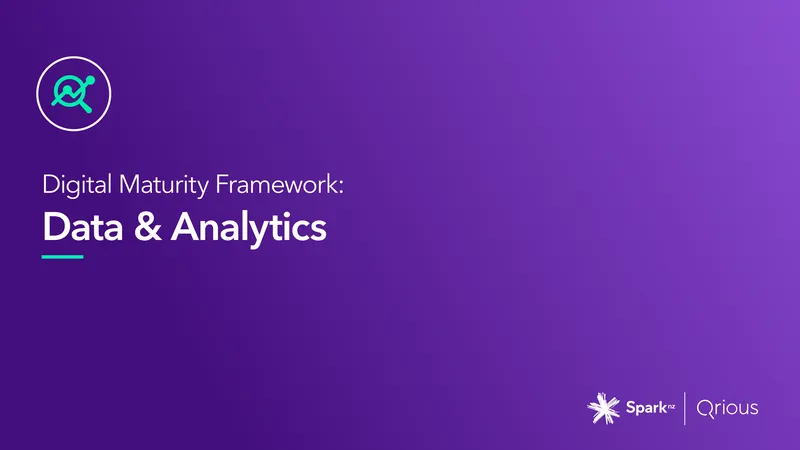 Data and Analytics Maturity Framework for New Zealand Businesses