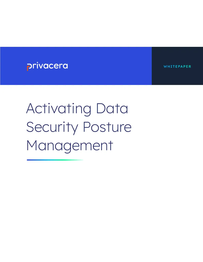 Data Security Posture Management Framework