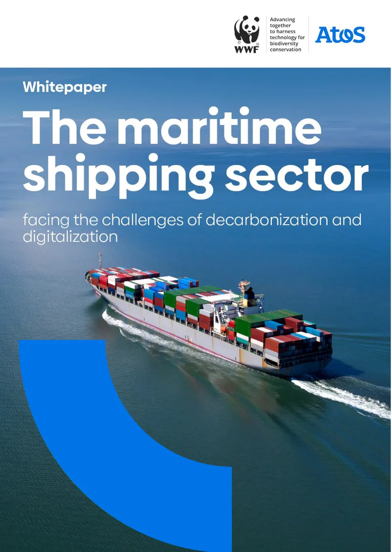 Decarbonization and Digitalization in Maritime Shipping