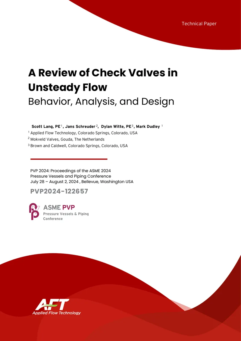 Check Valves in Unsteady Flow Behavior Analysis
