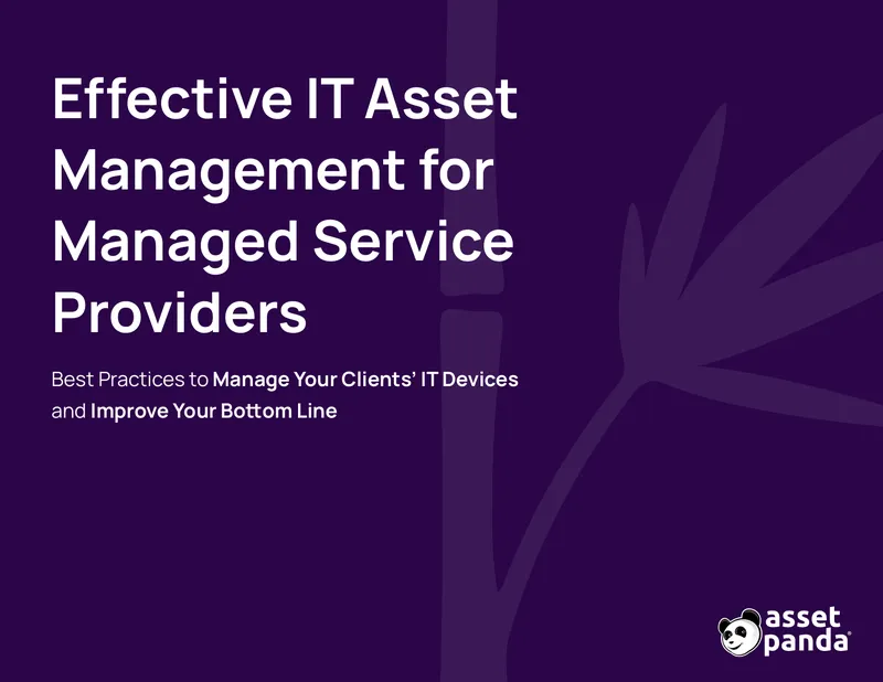 Best Practices for IT Asset Management in MSPs
