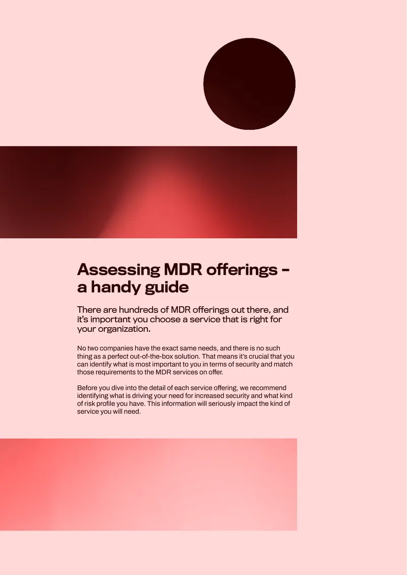 Assessing MDR Offerings Guide