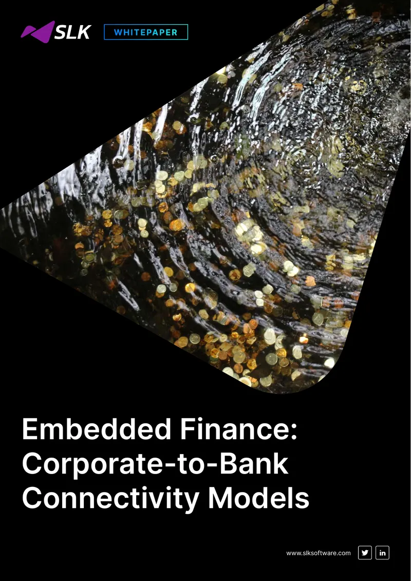 API-Based Connectivity and Embedded Finance Models
