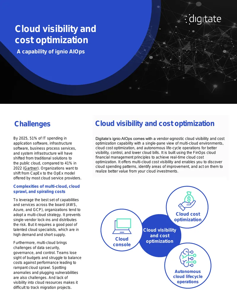 Cloud Visibility and Cost Optimization Capabilities