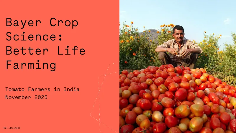 Impact of Better Life Farming on Tomato Farmers in India