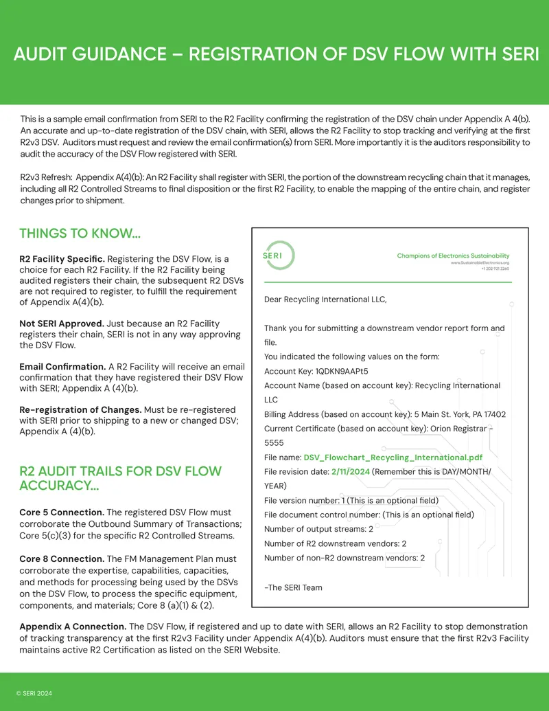 Audit Guidance for DSV Flow Registration with SERI