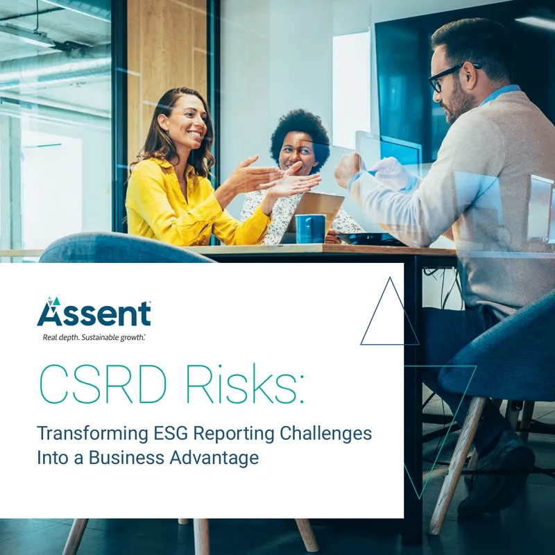 CSRD Risks and ESG Reporting Strategies