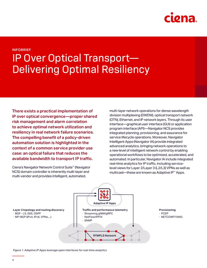 IP Over Optical Transport Resiliency Implementation Guide
