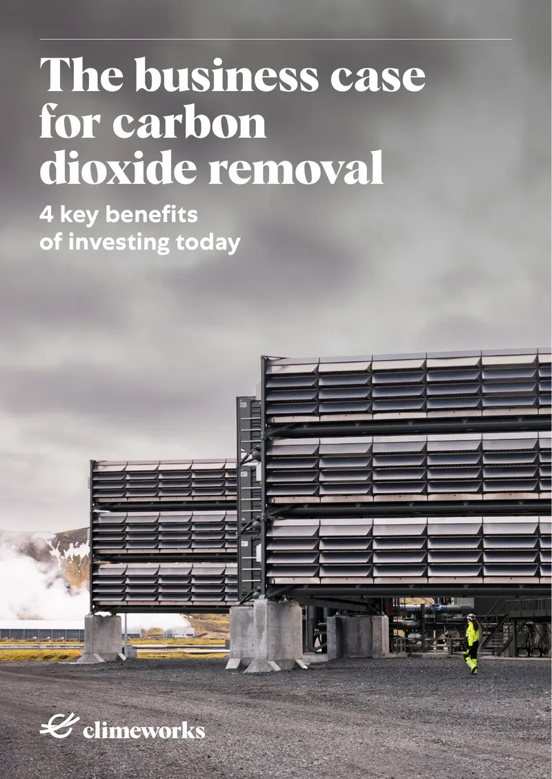 Business Case for Carbon Dioxide Removal Investment