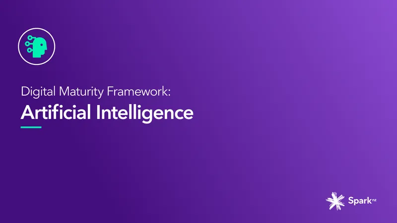 AI Maturity Framework for New Zealand Businesses