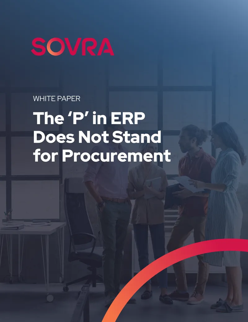 Challenges of ERP Systems in Public Sector Procurement