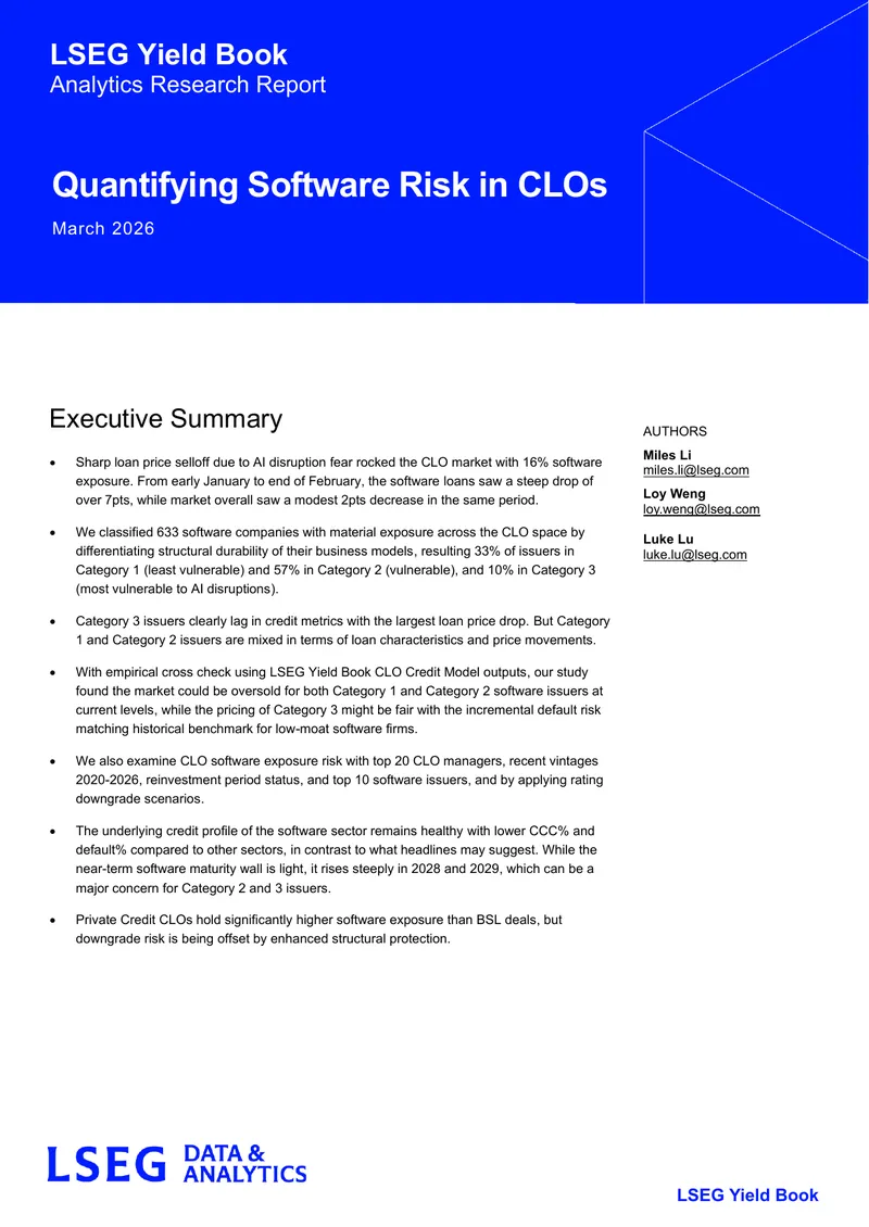 Quantifying Software Risk in CLOs