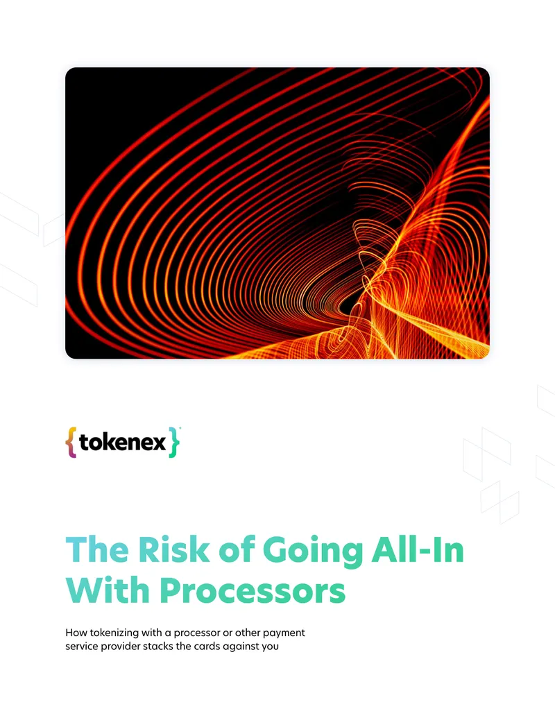 Risks Associated with Payment Processors