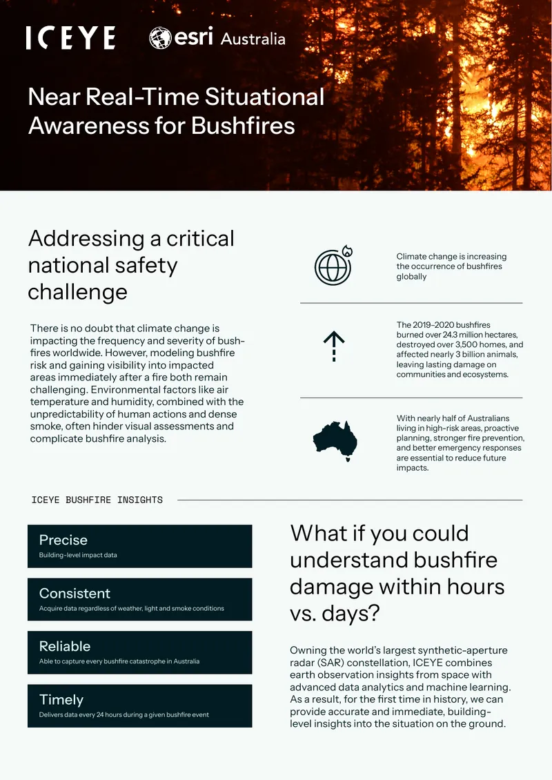 Near Real-Time Bushfire Impact Assessment Technology