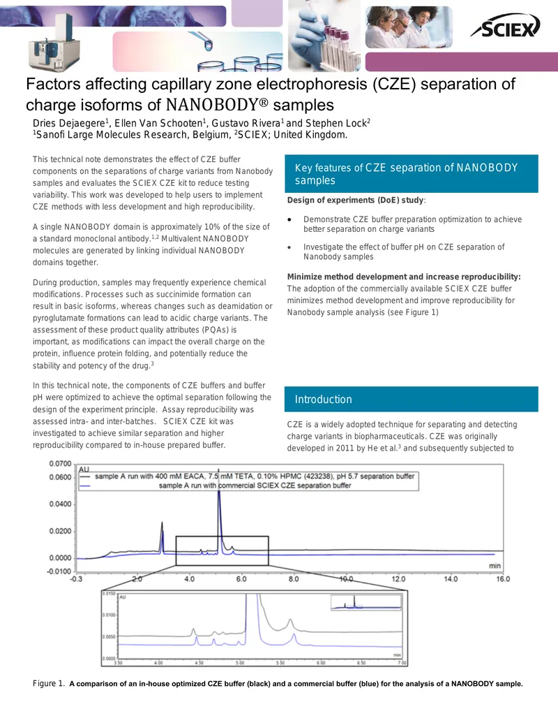 Effect of CZE Buffer Components on Nanobody Separation