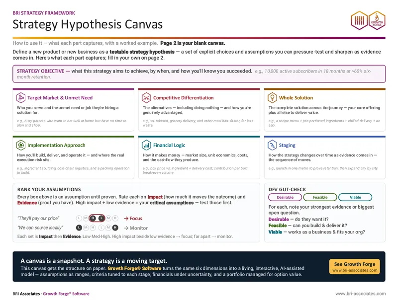 BRI Strategy Framework Strategy Hypothesis Canvas