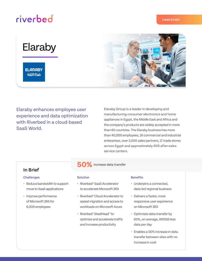 Elaraby Group Data Optimization Case Study