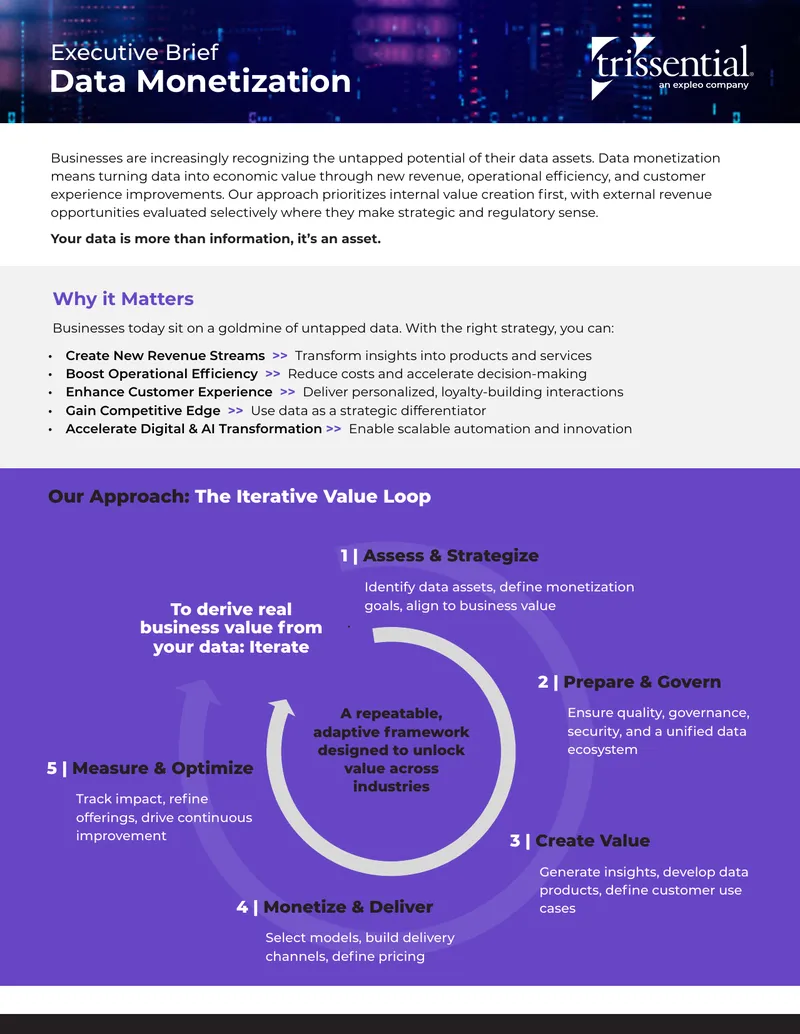 Data Monetization Executive Brief