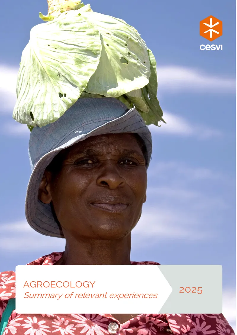 Agroecology Summary of Relevant Experiences