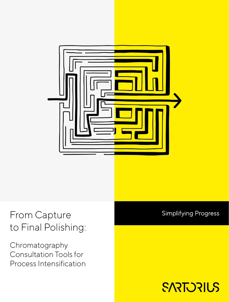 Chromatography Consultation Tools for Process Intensification