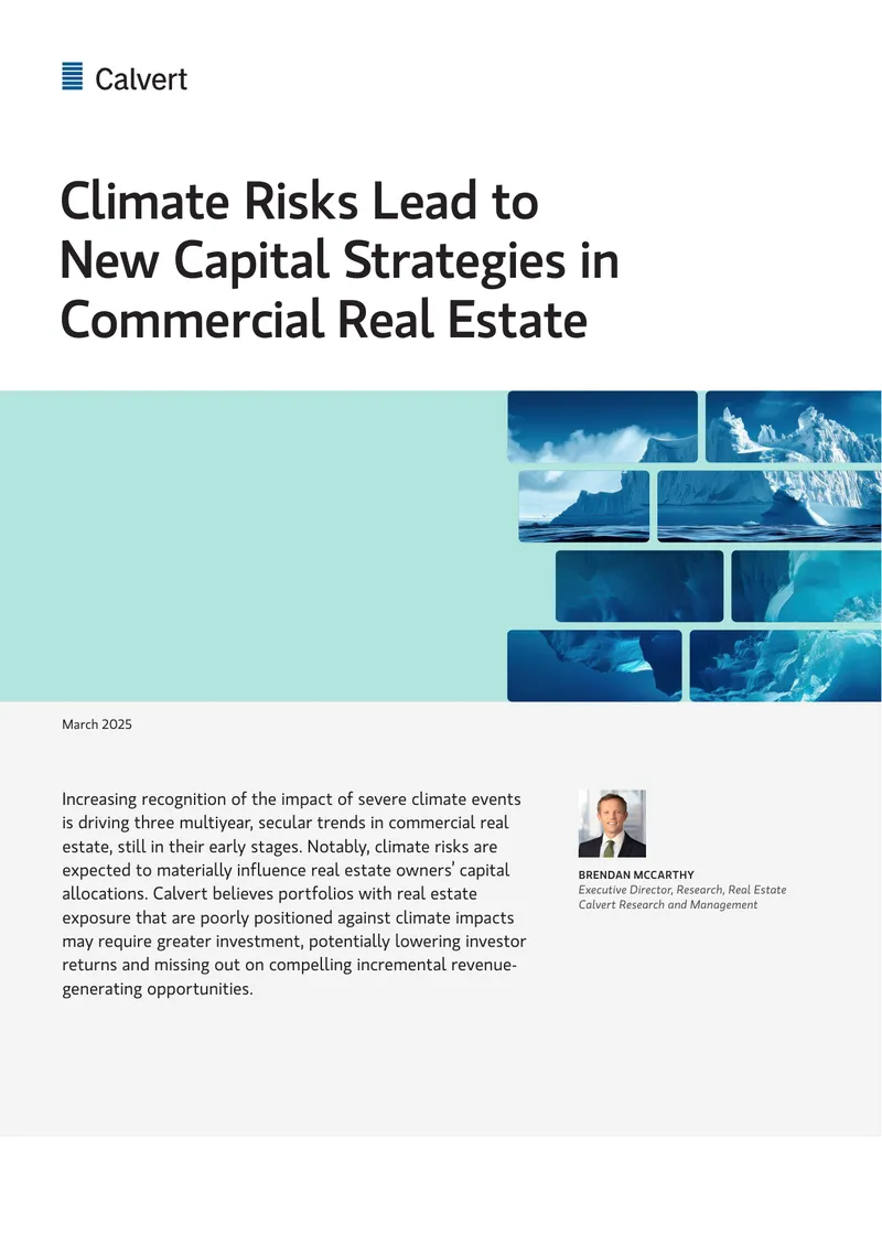 Climate Risks and Capital Strategies in Real Estate